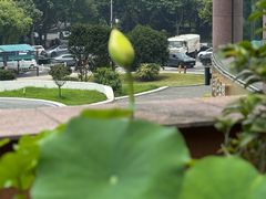 -青藤茶馆(凤起路店)