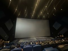 -英皇电影城(平安金融中心IMAX激光店)