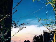-泓0871臻选云南菜·味庄