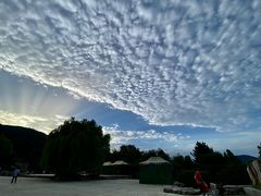 -北京西山国家森林公园