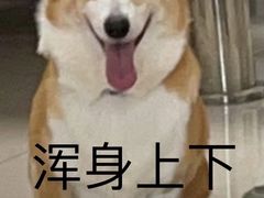 -艾贝尔宠物医院 ·中兽医·宠保定点(北门桥店)