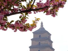 -大雁塔北广场音乐喷泉