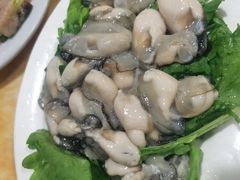 生蚝-金砂阿洲鱼册店