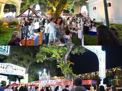 -龙环葡韵住宅式博物馆