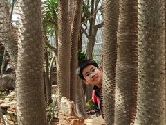 -北京植物园-展览温室