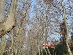 -应天大明王朝·南京菜(中山陵店)