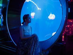 -成都浩海立方海洋公园