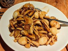 山菌鹌鹑蛋-小放牛炒菜馆(三丰店)