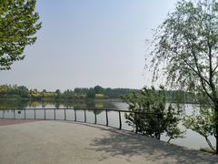 -东郊湿地公园