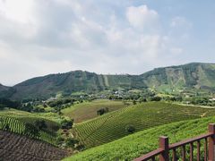 -帐篷客·溪龙茶谷度假酒店