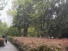 -浮庄