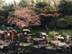 -上海醉白池公园