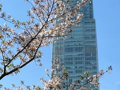 -静安雕塑公园