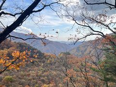 -五女峰国家森林公园