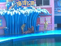 -华夏文旅海洋公园