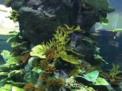 -福州罗源湾海洋世界旅游区