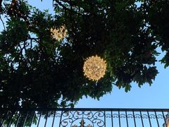 -泰堤坊(淡水体育馆店)