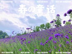 -石井坡(地铁站)