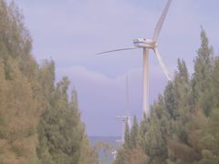 -长江澳风力发电景观区