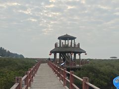 -北海金海湾红树林生态旅游区
