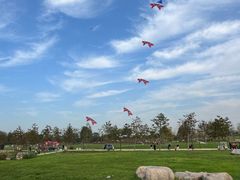 -汉长安城未央宫国家考古遗址公园