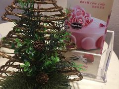 -哈根达斯(深圳海岸城店)