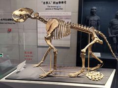 -北京周口店北京人遗址博物馆