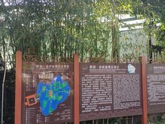 -翠湖公园