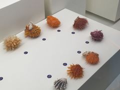 -青岛贝壳博物馆