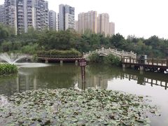 -三圣花乡旅游区