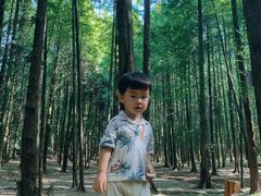 -山王坪喀斯特国家生态公园