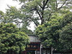 -柳侯公园