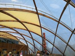 -怀托摩萤火虫洞