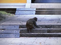 -苏州上方山国家森林公园