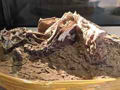 -房山世界地质公园博物馆