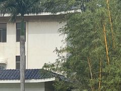 -厦门悦华酒店·绿庭主题自助餐厅