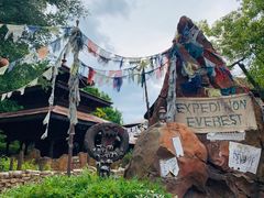 -奥兰多迪士尼动物王国乐园