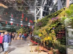 -北京植物园-展览温室