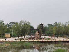 -绿堤公园