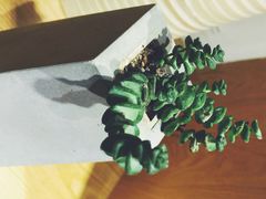 一会(一会喫茶店)-柴务处·柴犬主题狗咖