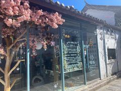 -喵屿·大理花园猫咖