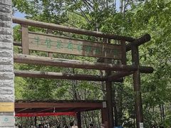 -牛背梁国家森林公园
