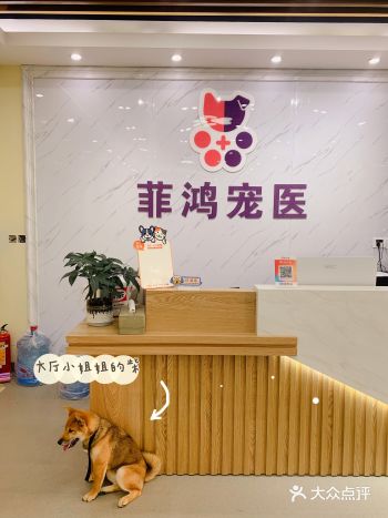 宠物医院|专业的事当然要交给专业的人！