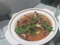 -军子大排档(迎春花园店)
