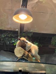 -Zoolung Zoolung动物主题公园(海信广场店)