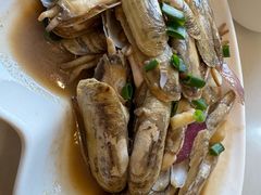 蛏子-华盛丰温州大排档(东三环南路店)