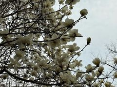 -睦南公园