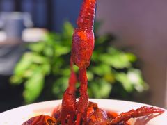-霸王虾·小龙虾香辣蟹(玉林店)