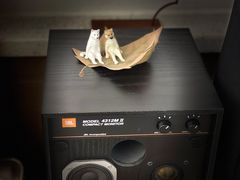 -Onirii Coffee(长乐路店)