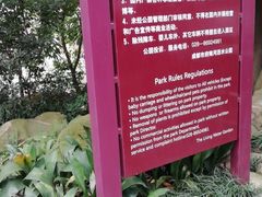 -成都市活水公园